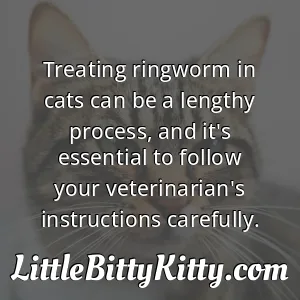 Treating ringworm in cats can be a lengthy process, and it's essential to follow your veterinarian's instructions carefully.