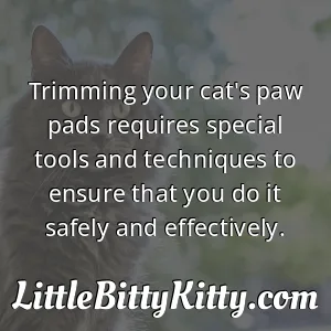 Trimming your cat's paw pads requires special tools and techniques to ensure that you do it safely and effectively.