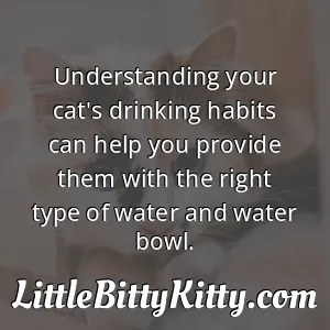 Understanding your cat's drinking habits can help you provide them with the right type of water and water bowl.