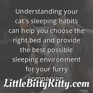 Understanding your cat's sleeping habits can help you choose the right bed and provide the best possible sleeping environment for your furry companion.