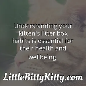 Understanding your kitten's litter box habits is essential for their health and wellbeing.