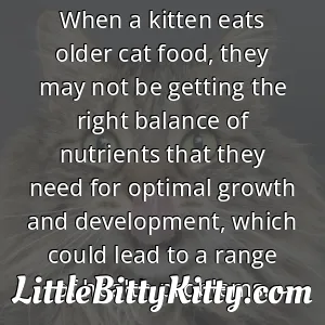 When a kitten eats older cat food, they may not be getting the right balance of nutrients that they need for optimal growth and development, which could lead to a range of health problems.