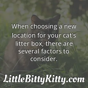 When choosing a new location for your cat's litter box, there are several factors to consider.