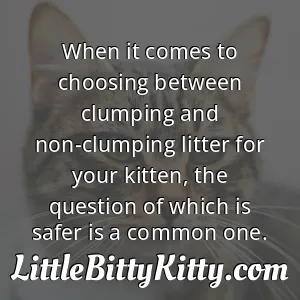 When it comes to choosing between clumping and non-clumping litter for your kitten, the question of which is safer is a common one.