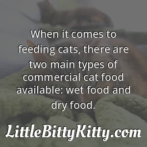 When it comes to feeding cats, there are two main types of commercial cat food available: wet food and dry food.