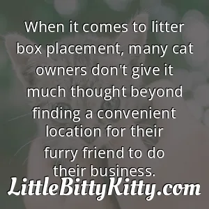 When it comes to litter box placement, many cat owners don't give it much thought beyond finding a convenient location for their furry friend to do their business.