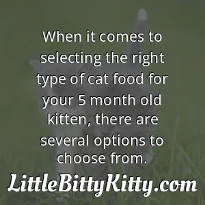 When it comes to selecting the right type of cat food for your 5 month old kitten, there are several options to choose from.