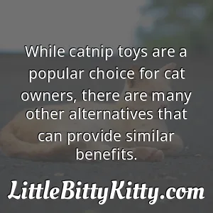 While catnip toys are a popular choice for cat owners, there are many other alternatives that can provide similar benefits.