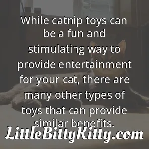 While catnip toys can be a fun and stimulating way to provide entertainment for your cat, there are many other types of toys that can provide similar benefits.