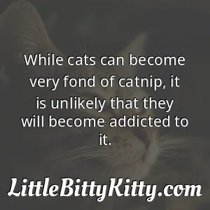 While cats can become very fond of catnip, it is unlikely that they will become addicted to it.