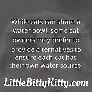 While cats can share a water bowl, some cat owners may prefer to provide alternatives to ensure each cat has their own water source.