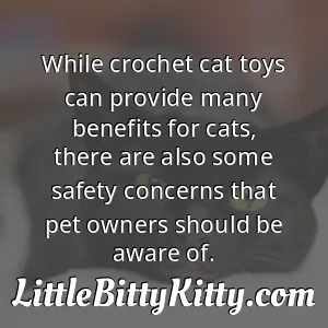 While crochet cat toys can provide many benefits for cats, there are also some safety concerns that pet owners should be aware of.