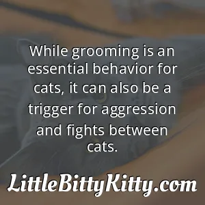 While grooming is an essential behavior for cats, it can also be a trigger for aggression and fights between cats.