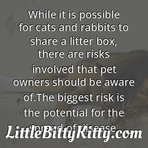 While it is possible for cats and rabbits to share a litter box, there are risks involved that pet owners should be aware of.The biggest risk is the potential for the spread of disease.