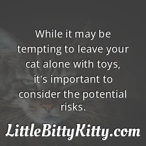 While it may be tempting to leave your cat alone with toys, it's important to consider the potential risks.