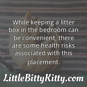 While keeping a litter box in the bedroom can be convenient, there are some health risks associated with this placement.