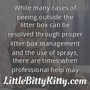 While many cases of peeing outside the litter box can be resolved through proper litter box management and the use of sprays, there are times when professional help may be necessary.