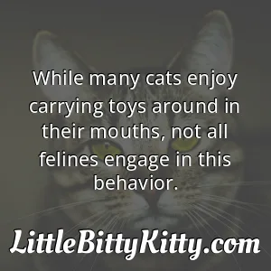 While many cats enjoy carrying toys around in their mouths, not all felines engage in this behavior.