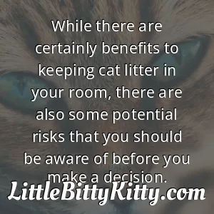 While there are certainly benefits to keeping cat litter in your room, there are also some potential risks that you should be aware of before you make a decision.