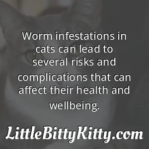 Worm infestations in cats can lead to several risks and complications that can affect their health and wellbeing.
