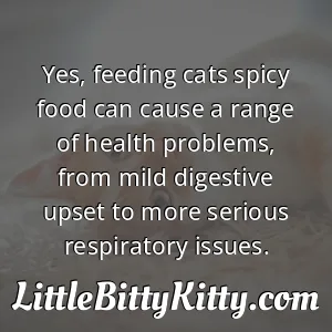 Yes, feeding cats spicy food can cause a range of health problems, from mild digestive upset to more serious respiratory issues.