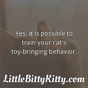 Yes, it is possible to train your cat's toy-bringing behavior.