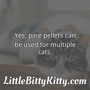 Yes, pine pellets can be used for multiple cats.