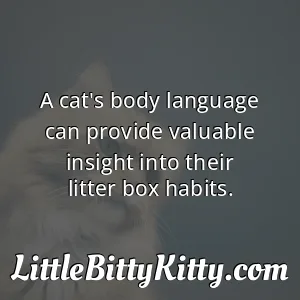 A cat's body language can provide valuable insight into their litter box habits.