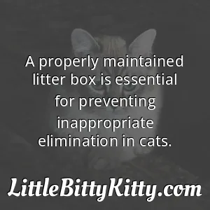 A properly maintained litter box is essential for preventing inappropriate elimination in cats.
