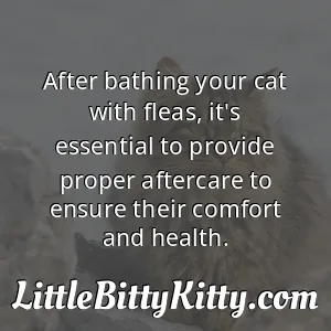 After bathing your cat with fleas, it's essential to provide proper aftercare to ensure their comfort and health.