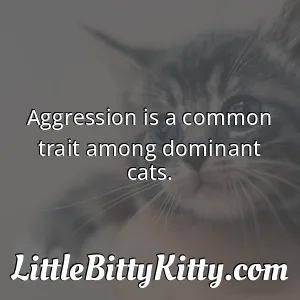 Aggression is a common trait among dominant cats.