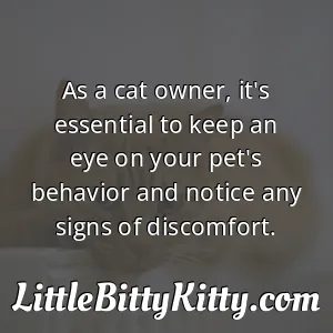 As a cat owner, it's essential to keep an eye on your pet's behavior and notice any signs of discomfort.