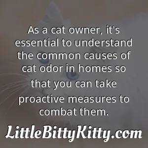 As a cat owner, it's essential to understand the common causes of cat odor in homes so that you can take proactive measures to combat them.