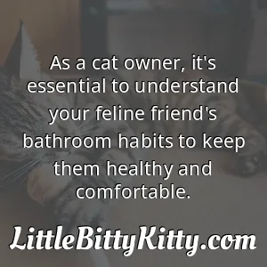 As a cat owner, it's essential to understand your feline friend's bathroom habits to keep them healthy and comfortable.