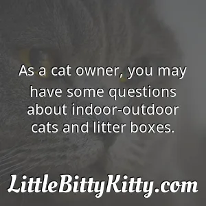 As a cat owner, you may have some questions about indoor-outdoor cats and litter boxes.