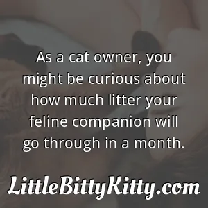 As a cat owner, you might be curious about how much litter your feline companion will go through in a month.