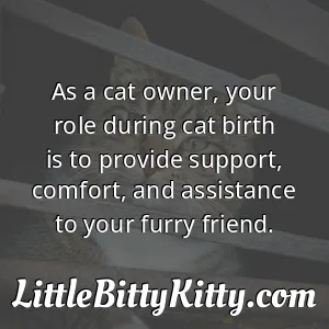 As a cat owner, your role during cat birth is to provide support, comfort, and assistance to your furry friend.
