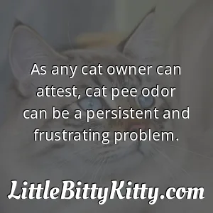 As any cat owner can attest, cat pee odor can be a persistent and frustrating problem.
