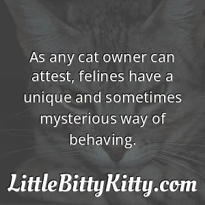 As any cat owner can attest, felines have a unique and sometimes mysterious way of behaving.