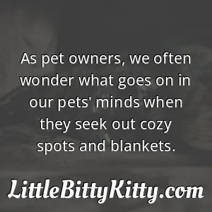 As pet owners, we often wonder what goes on in our pets' minds when they seek out cozy spots and blankets.