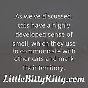 As we've discussed, cats have a highly developed sense of smell, which they use to communicate with other cats and mark their territory.