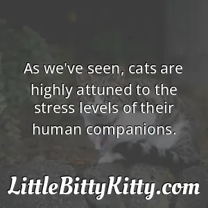 As we've seen, cats are highly attuned to the stress levels of their human companions.