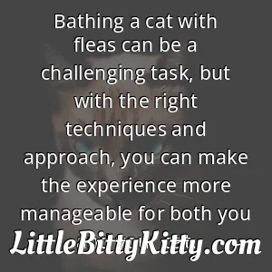 Bathing a cat with fleas can be a challenging task, but with the right techniques and approach, you can make the experience more manageable for both you and your cat.