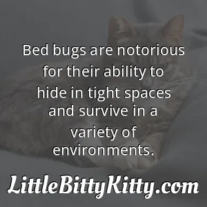 Bed bugs are notorious for their ability to hide in tight spaces and survive in a variety of environments.