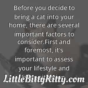 Before you decide to bring a cat into your home, there are several important factors to consider.First and foremost, it's important to assess your lifestyle and living situation.