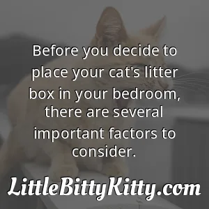 Before you decide to place your cat's litter box in your bedroom, there are several important factors to consider.