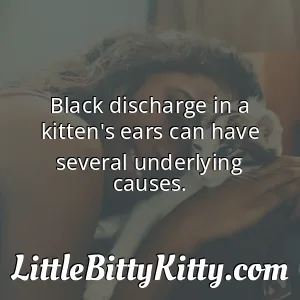 Black discharge in a kitten's ears can have several underlying causes.