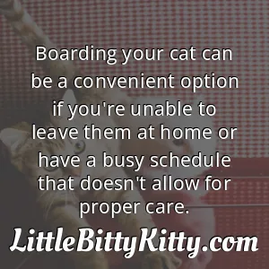 Boarding your cat can be a convenient option if you're unable to leave them at home or have a busy schedule that doesn't allow for proper care.
