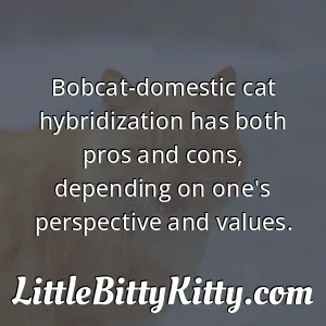 Bobcat-domestic cat hybridization has both pros and cons, depending on one's perspective and values.