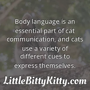 Body language is an essential part of cat communication, and cats use a variety of different cues to express themselves.